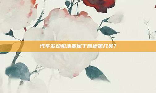 汽车发动机活塞属于商标第几类?