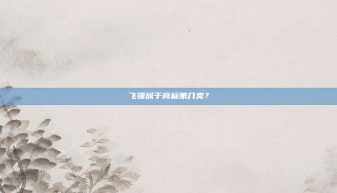 飞镖属于商标第几类?