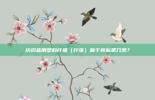 纺织品用塑料纤维（纤维）属于商标第几类？