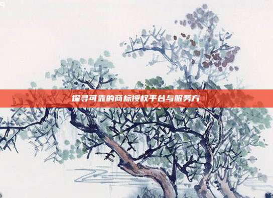 探寻可靠的商标授权平台与服务方