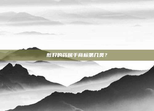 煎好的药属于商标第几类?