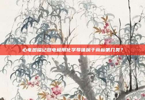 心电图描记器电极用化学导体属于商标第几类？