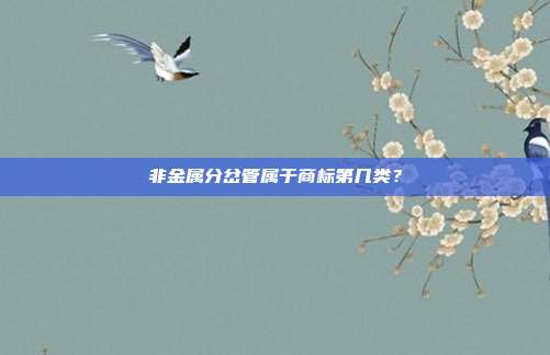 非金属分岔管属于商标第几类?