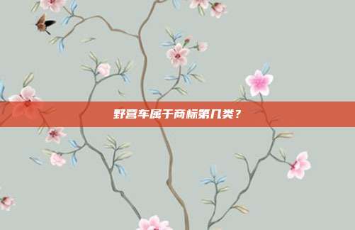 野营车属于商标第几类?