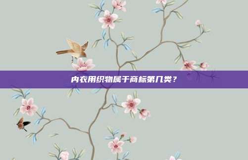 内衣用织物属于商标第几类？