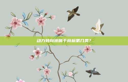 动力转向液属于商标第几类?
