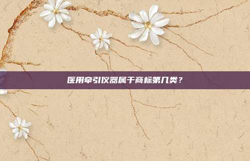 医用牵引仪器属于商标第几类?