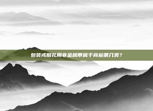 包装或捆扎用非金属带属于商标第几类?
