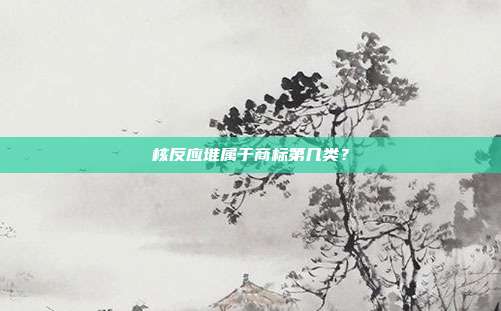 核反应堆属于商标第几类?