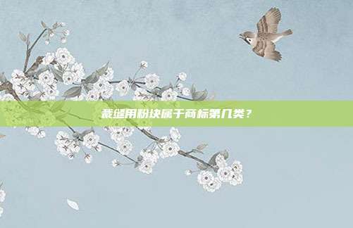 裁缝用粉块属于商标第几类？