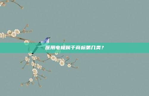 医用电极属于商标第几类？