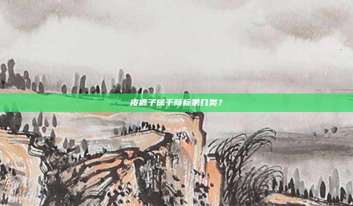 皮褥子属于商标第几类?