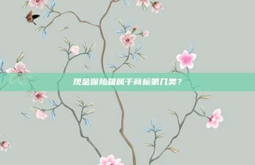 现金保险箱属于商标第几类？