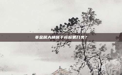 非金属大桶属于商标第几类？