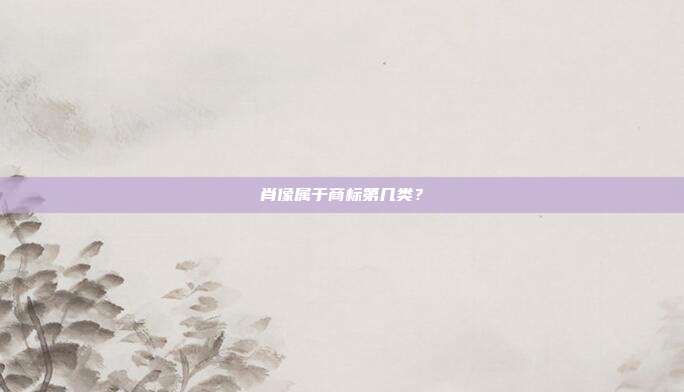 肖像属于商标第几类？