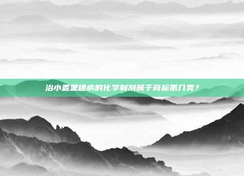 治小麦黑穗病的化学制剂属于商标第几类？