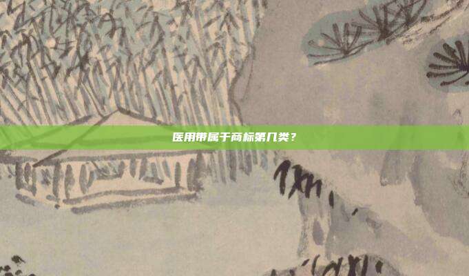 医用带属于商标第几类?