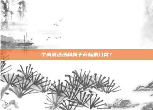 牛肉清汤汤料属于商标第几类？