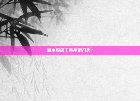 潜水服属于商标第几类？