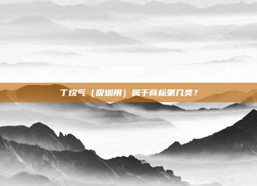 丁烷气（吸烟用）属于商标第几类？