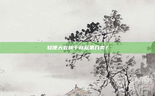 轻便大衣属于商标第几类？
