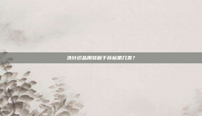 洗针织品用袋属于商标第几类？