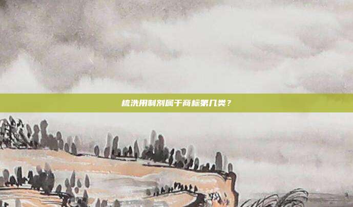 梳洗用制剂属于商标第几类？