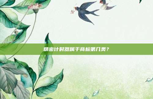 精密计时器属于商标第几类?