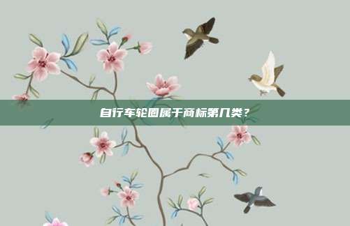 自行车轮圈属于商标第几类?