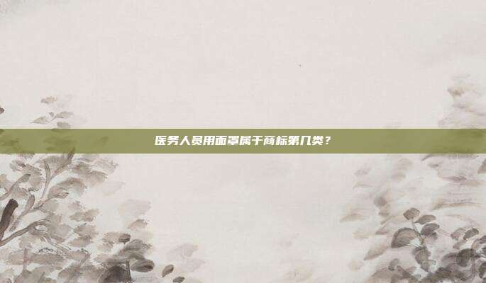医务人员用面罩属于商标第几类?