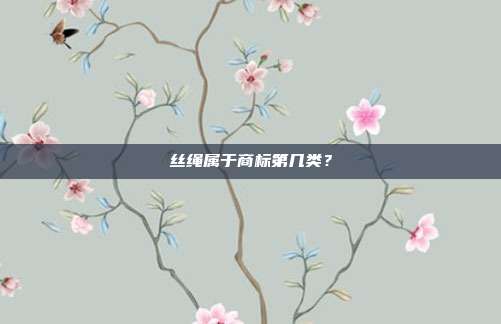 丝绳属于商标第几类?