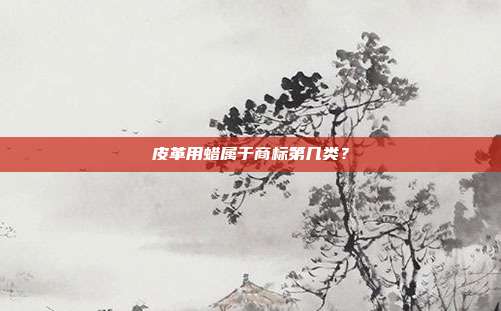 皮革用蜡属于商标第几类?