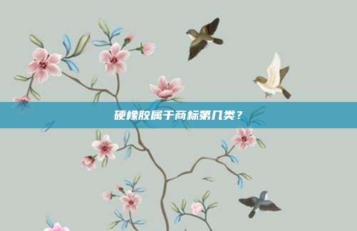 硬橡胶属于商标第几类?