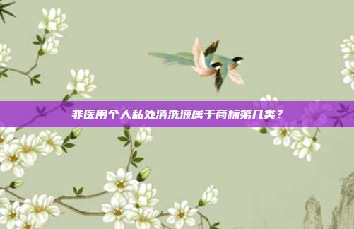 非医用个人私处清洗液属于商标第几类？
