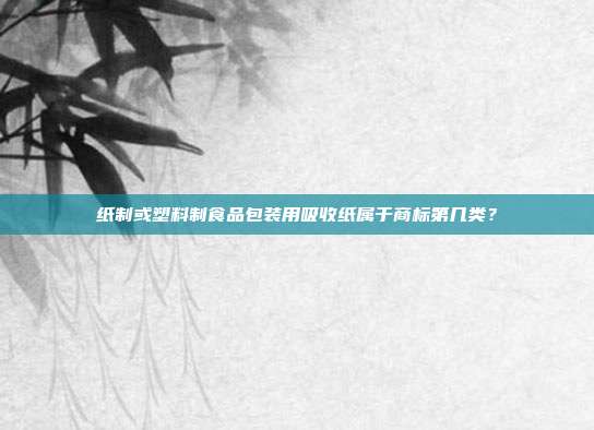 纸制或塑料制食品包装用吸收纸属于商标第几类?