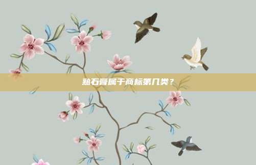 熟石膏属于商标第几类？