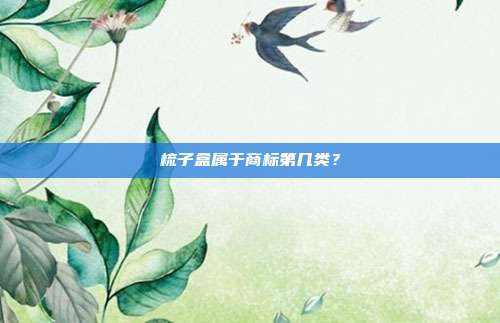 梳子盒属于商标第几类？