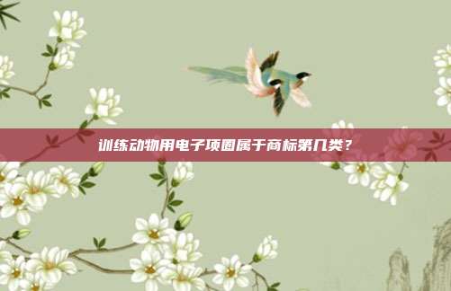 训练动物用电子项圈属于商标第几类？