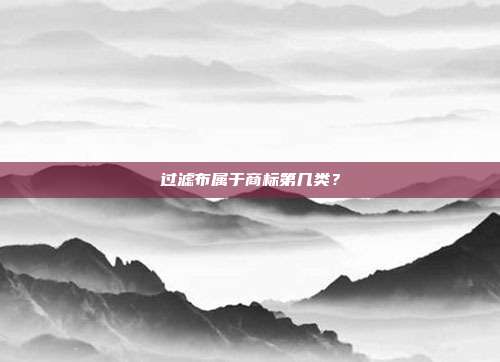 过滤布属于商标第几类?