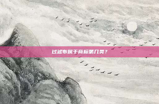 过滤布属于商标第几类?