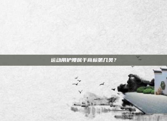 运动用护腰属于商标第几类?