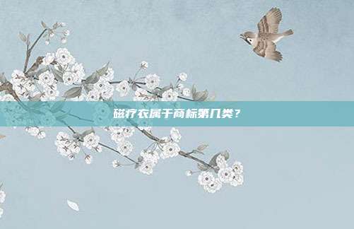 磁疗衣属于商标第几类？