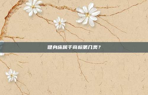 健身床属于商标第几类?