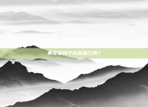 黄花菜属于商标第几类?