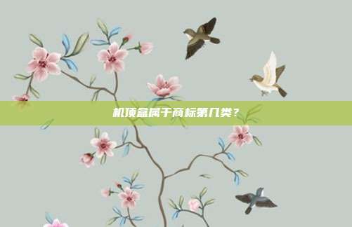 机顶盒属于商标第几类？