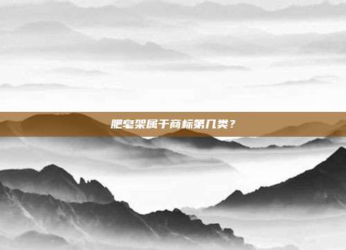 肥皂架属于商标第几类?