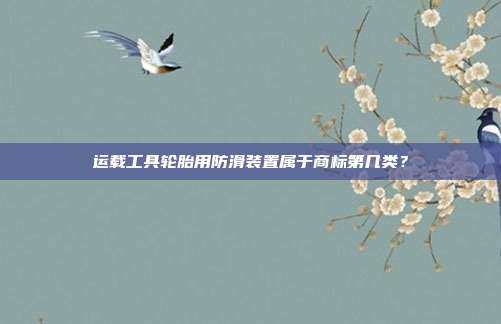 运载工具轮胎用防滑装置属于商标第几类？