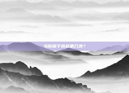 马鞍属于商标第几类?