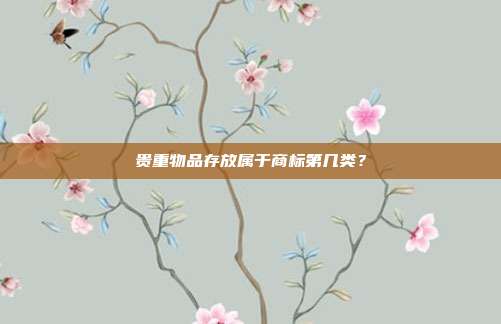 贵重物品存放属于商标第几类?