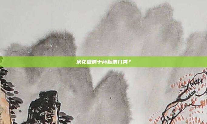 米花糖属于商标第几类？